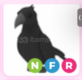 Neon Fly Ride Crow