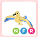 NEON FLY RİDE GOLDEN ALBATROS