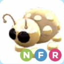 NEON FLY RİDE GOLDEN LADYBUG