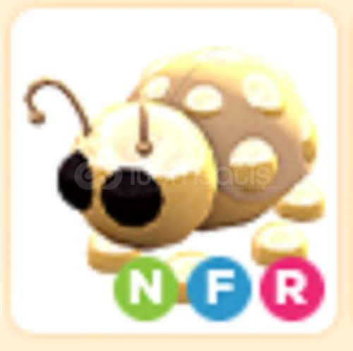 NEON FLY RİDE GOLDEN LADYBUG NEON FLY RİDE GOLDEN LADYBUG