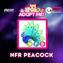 NEON FLY RİDE PEACKOK