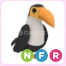 NEON FLY RİDE TOUCAN NEON FLY RİDE TOUCAN