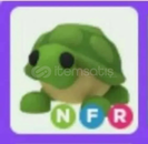 Neon Fly Ride Turtle