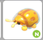 Neon Golden Tortoise Beetle