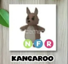 NEON KANGAROO