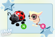 Neon Ladybug + Ride Kid Goat