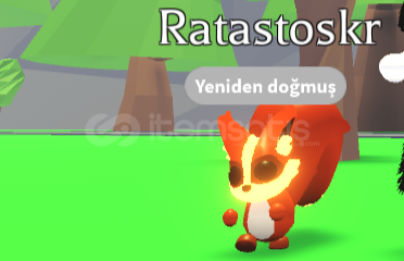 ★ neon ratatoskr ★ ★ neon ratatoskr ★