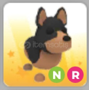 Neon Ride Australian Kelpie Neon Ride Australian Kelpie