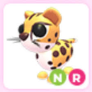 NEON RİDE CHEETAH NEON RİDE CHEETAH