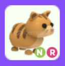 NEON RİDE GİNGER CAT NEON RİDE GİNGER CAT