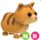 Neon Ride Ginger Cat Neon Ride Ginger Cat