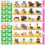 NEON RİDE PET ( RANDOM ) 