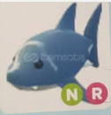 NEON RİDE SHARK NEON RİDE SHARK