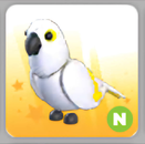 NEON RİDE WHİTE AMAZON