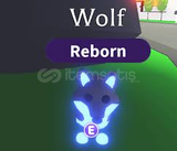 NEON RİDE WOLF!! EN UCUZU