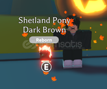 Neon Shetland Pony Dark Brown  Neon Shetland Pony Dark Brown