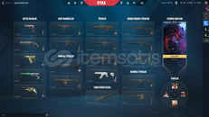 NEPTÜN VANDALLI 15 SKİNLİ HESAP