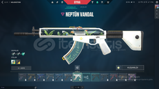 Neptun Vandallı Mailli Fırsat Hesap