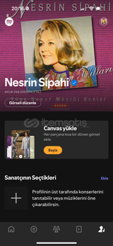 Nesrin Sipahi 350K dinleyici sanatçı hesabı