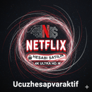 netfilix hesabı 1 aylık,.