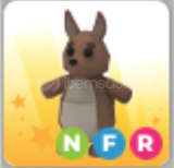 Nfr Kangaroo Adopt Me