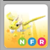 ✅ NFR Ancient Dragon 