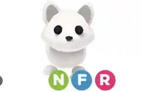 NFR ARCTİC FOX EFSANE FİYATA ALAN KAPAR