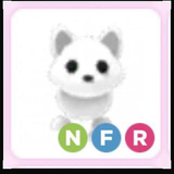 NFR Arctic Fox satılıktır Adoptme enucuzu