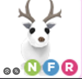 NFR ARCTİC REEİNDER EN UCUZU