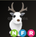 Nfr arctic reindeer Nfr arctic reindeer