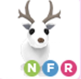 NFR Arctic Reindeer - Adopt Me