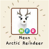 NFR Arctic Reindeer Adopt Me