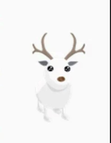 NFR Arctic Reindeer - Adopt Me