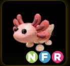 NFR AXOLOTL