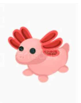 NFR Axolotl - Adopt Me  NFR Axolotl - Adopt Me