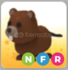 NFR Beaver NFR Beaver