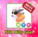 NFR BİLLY GOAT 