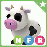 NFR COW