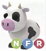 NFR COW 