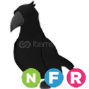 NFR Crow NFR Crow