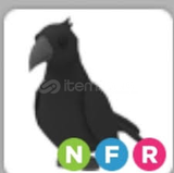 NFR CROW ADOPT ME