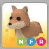 NFR Dingo