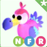 NFR Dodo