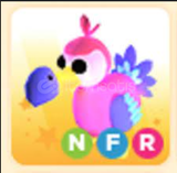 NFR DODO/ADOPT ME/EN UCUZU