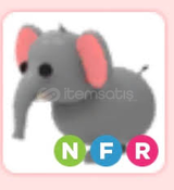 NFR Elephant