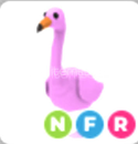 NFR FLAMİNGO