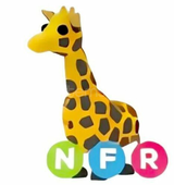 NFR Giraffe