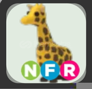 NFR GIRAFFE!
