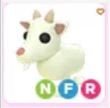 NFR Goat - Adopt me