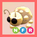 NFR Golden Ladybug